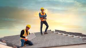 Best Roof Moss and Algae Removal  in Dawson, GA